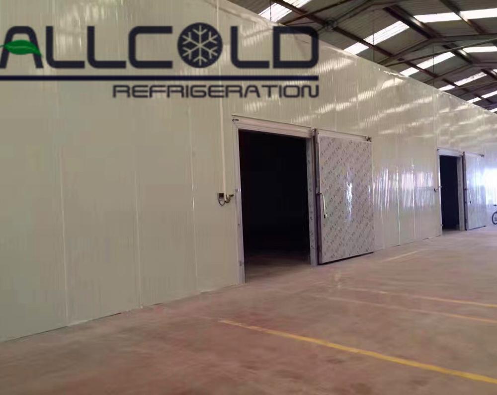 Cold room freezer for fish manufacturers